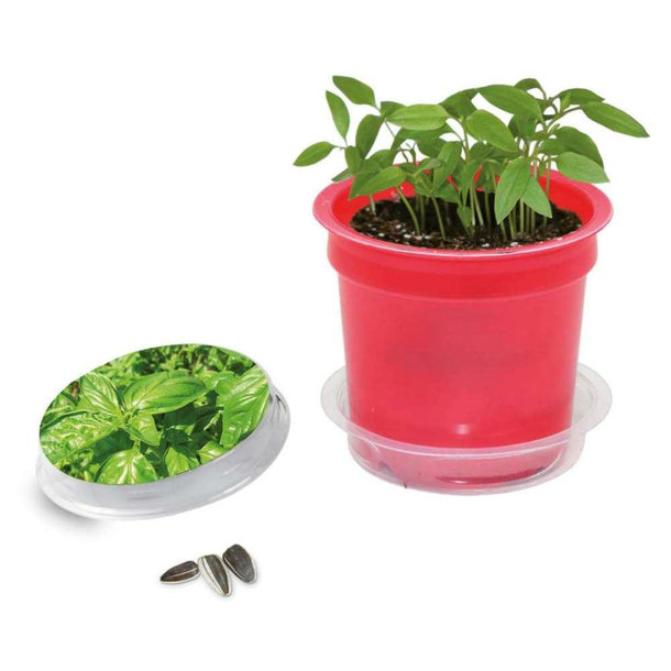 Florero-Töpfchen mit Samen - rot - Basilikum