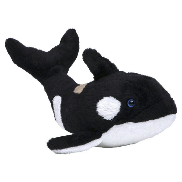 Orca Phil