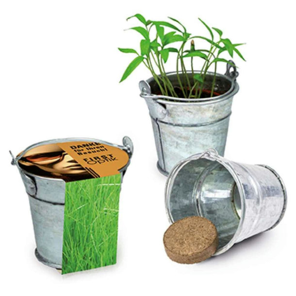 Pflanzeimerchen mit Samen - Gras