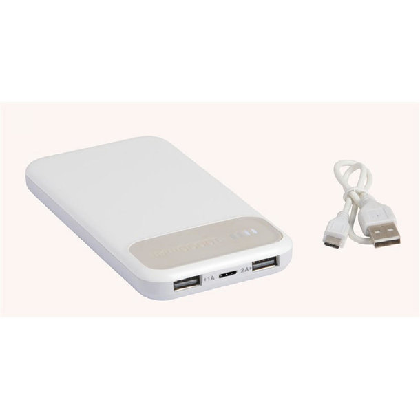 Powerbank SILICON VALLEY