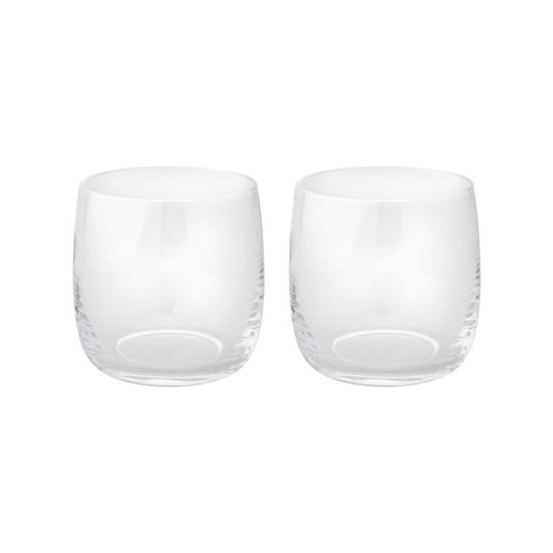 Stelton Foster Wasserglas 0,2 L 2er Set Glas