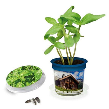 Florero-Töpfchen mit Samen - blau - Basilikum