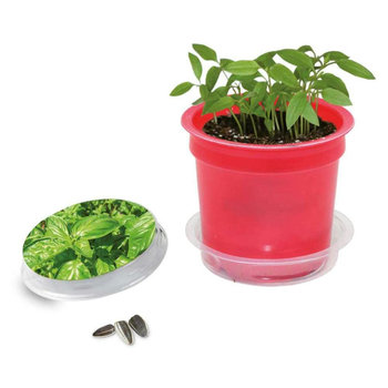 Florero-Töpfchen mit Samen - rot - Basilikum