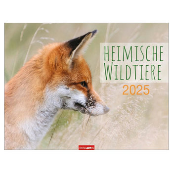 Heimische Wildtiere