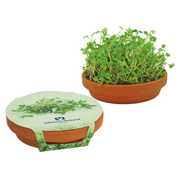 Kresse-Schale