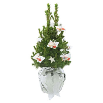 Kristall-Bäumchen 35-45 cm