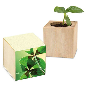 Pflanz-Holz mit Samen (Graspapier-Banderole) - Fichte