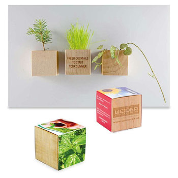 Pflanz-Holz Magnet mit Samen - Basilikum