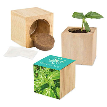 Pflanz-Holz Maxi mit Samen - Basilikum