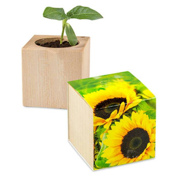 Pflanz-Holz - Standardmotiv - Sonnenblume - ohne Lasergravur