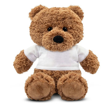 Teddybär mit T-Shirt