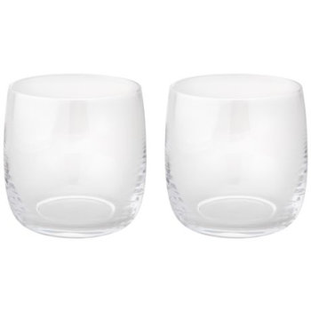 Stelton Foster Wasserglas 0,2 L 2er Set Glas