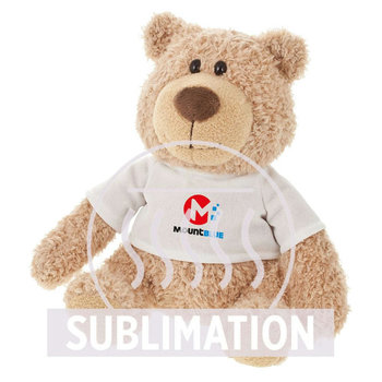 Teddybär mit T-Shirt