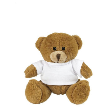 Teddybär mit T-Shirt