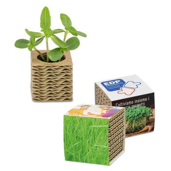 Wellkarton-Pflanzwürfel Mini mit Samen - Gras
